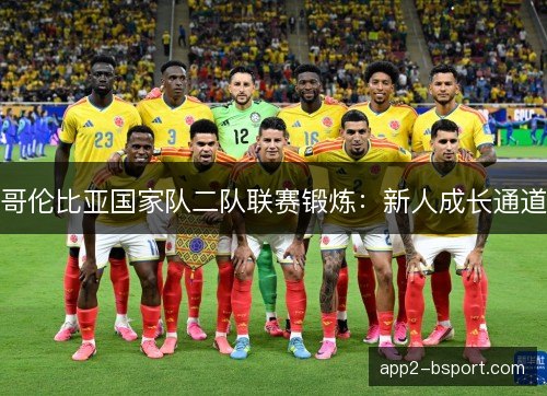 哥伦比亚国家队二队联赛锻炼:新人成长通道 哥伦比亚国家队二队联赛锻炼:新人成长通道